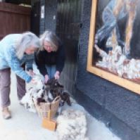 Isabella (left) and Jane Deane sorting fleece at Leewood, Dartmoor National Park. Nick Viney's painting of shearing can be seen to the right