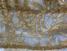 Detail of gold lace jacket