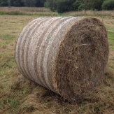 The cylindrical bale