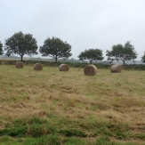 Bales on the moor