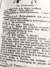 Explanation of 'corcur' from Dwelly's Gaelic Dictionary